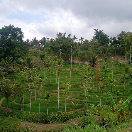 Tetebatu Sunrise Homestay Eksteriør bilde