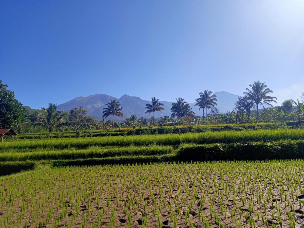 Tetebatu Sunrise Homestay Eksteriør bilde