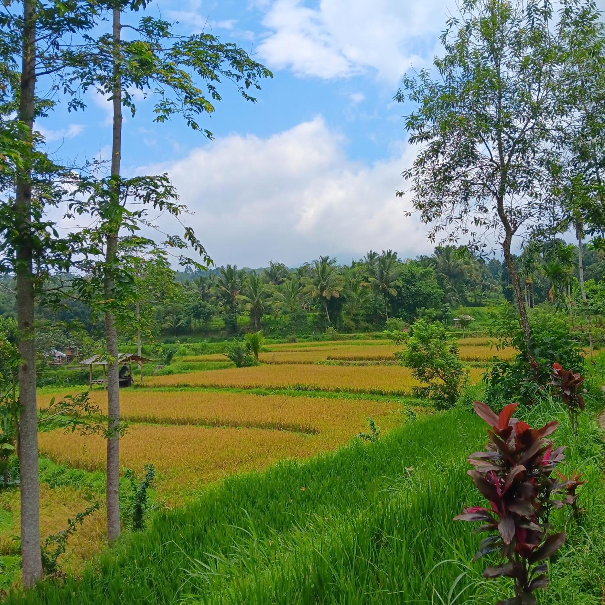 Tetebatu Sunrise Homestay Eksteriør bilde