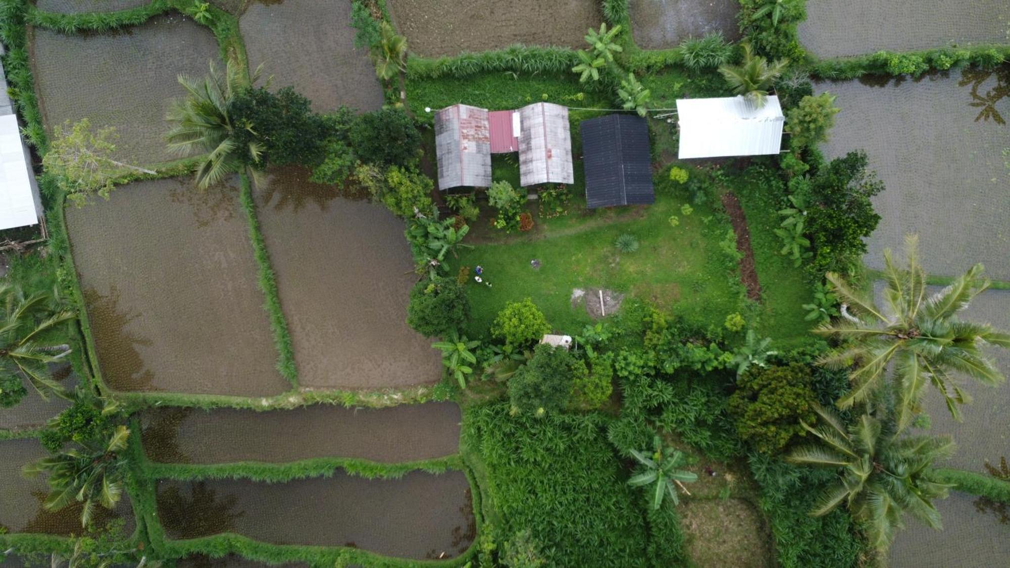 Tetebatu Sunrise Homestay Eksteriør bilde