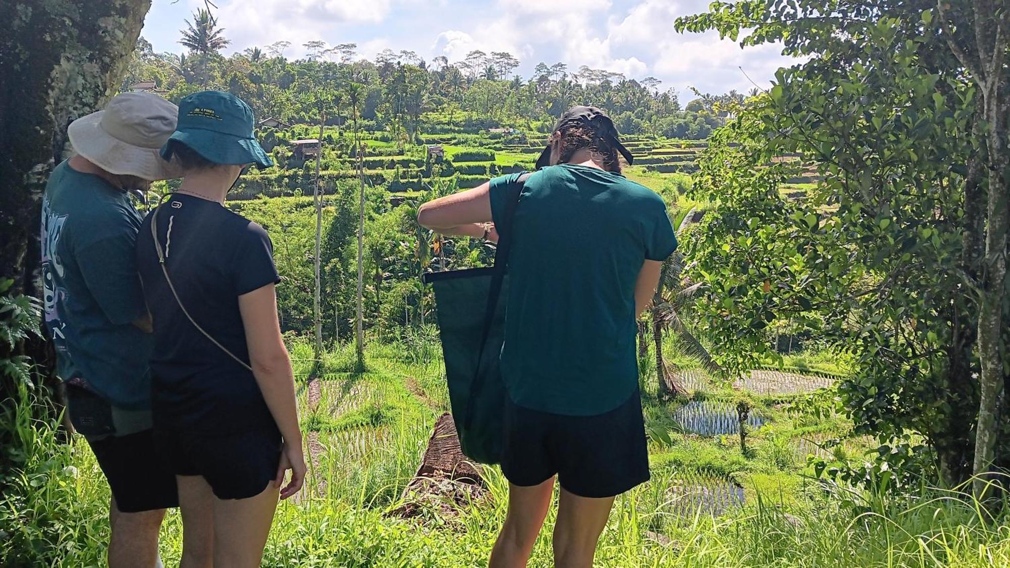 Tetebatu Sunrise Homestay Eksteriør bilde