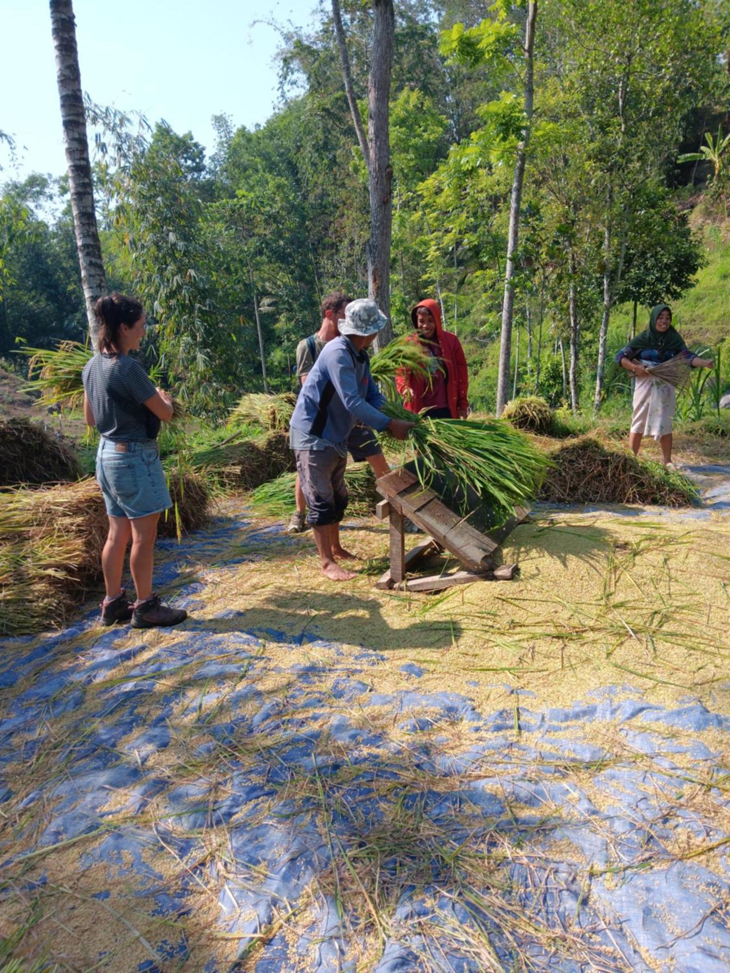 Tetebatu Sunrise Homestay Eksteriør bilde