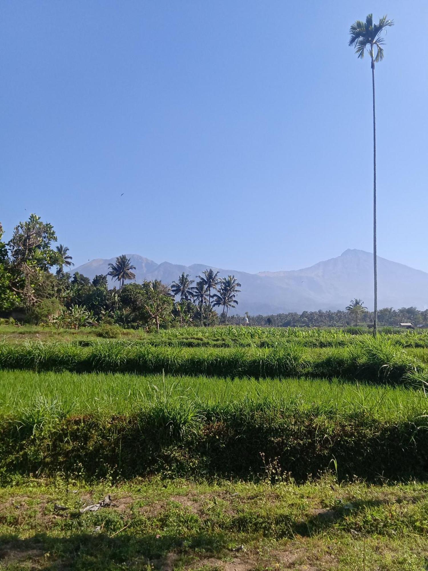 Tetebatu Sunrise Homestay Eksteriør bilde