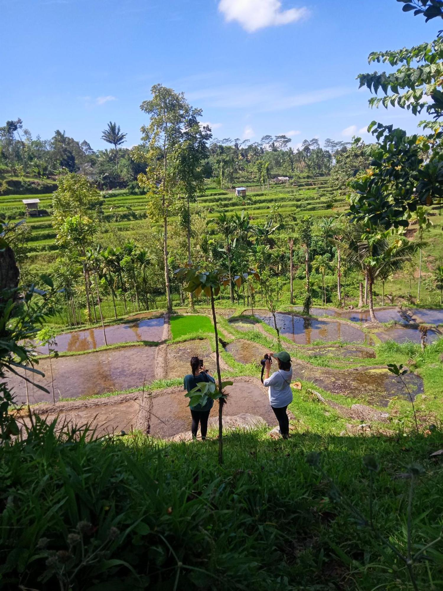 Tetebatu Sunrise Homestay Eksteriør bilde